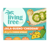 Living Tree Cream Cheese Jala-bueno 'Cheddar'
